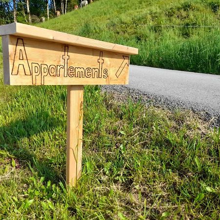 Appartement Sonnseitn Altenmarkt im Pongau Εξωτερικό φωτογραφία