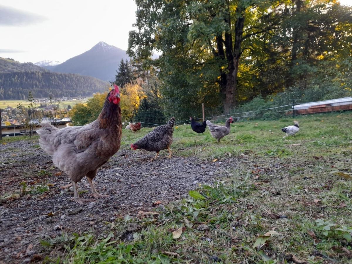 Appartement Sonnseitn Altenmarkt im Pongau Εξωτερικό φωτογραφία